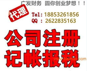 小公司代理記賬 選擇、服務廠家與價格解析